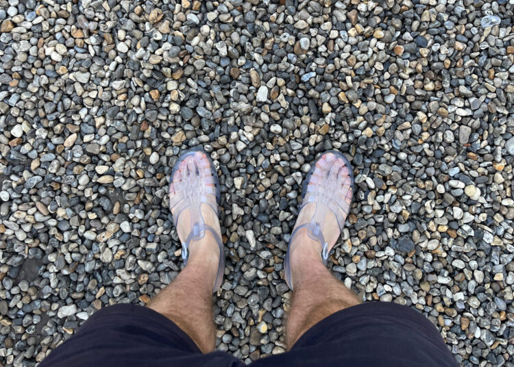 Coquillages et crustacés