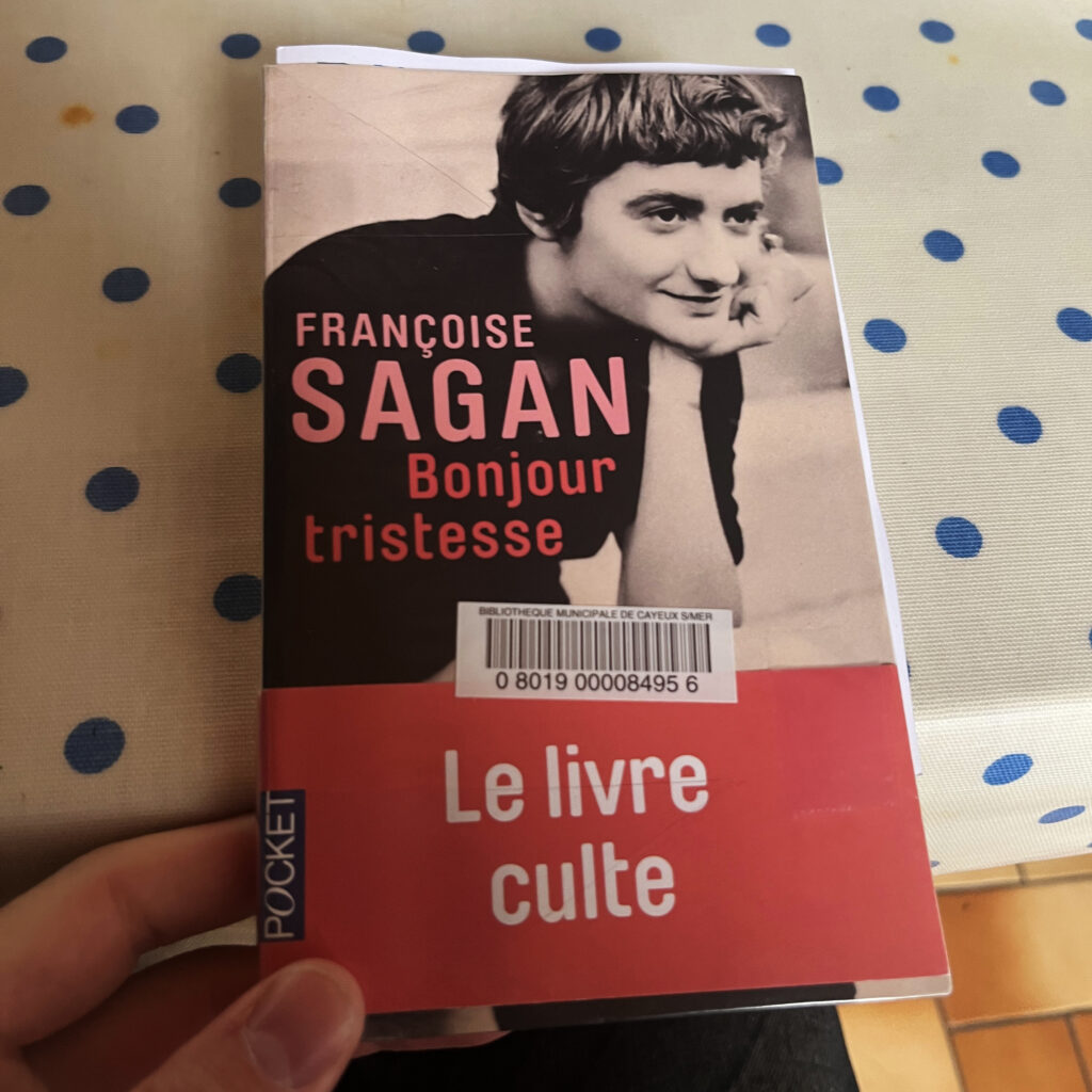 Excellent roman, je recommande vivement !